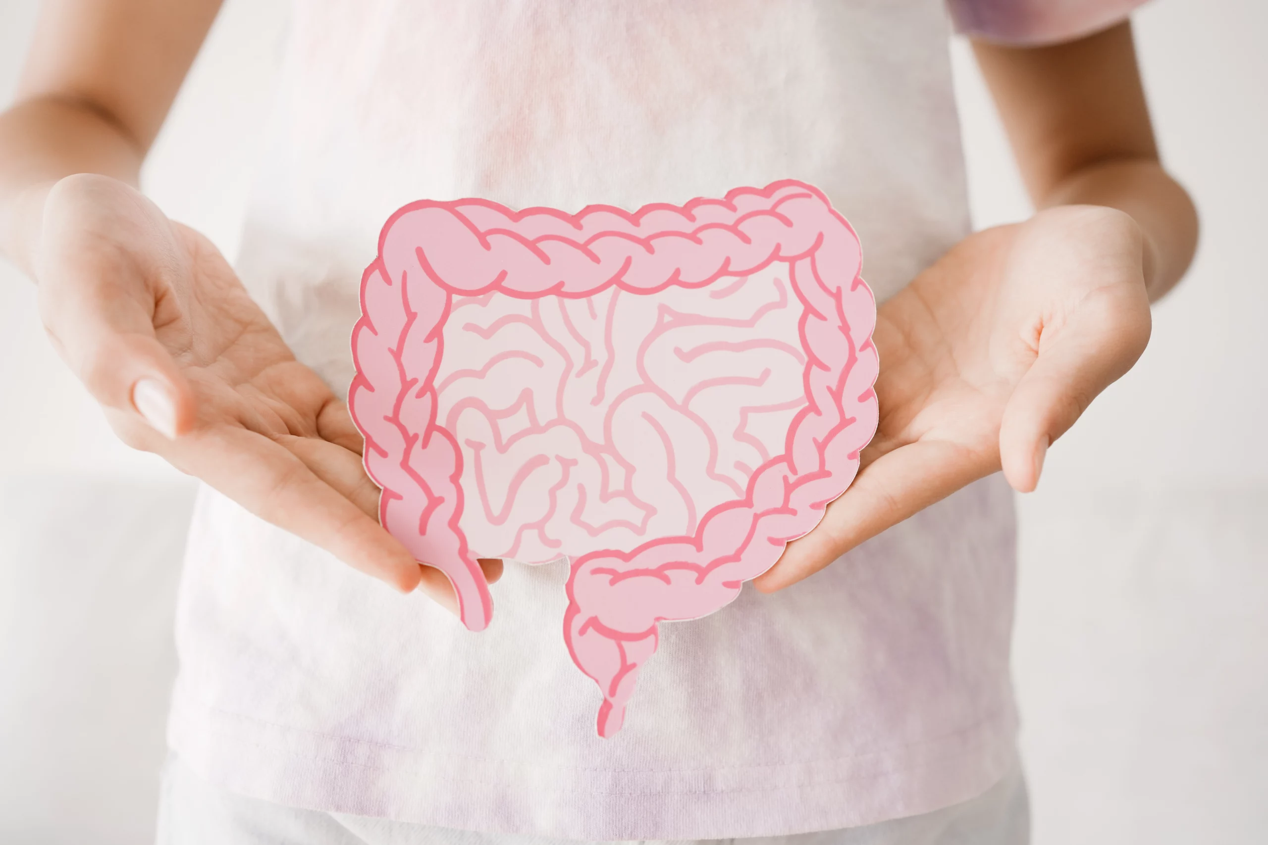 Diététicien troubles digestifs et FODMAP à Toulouse